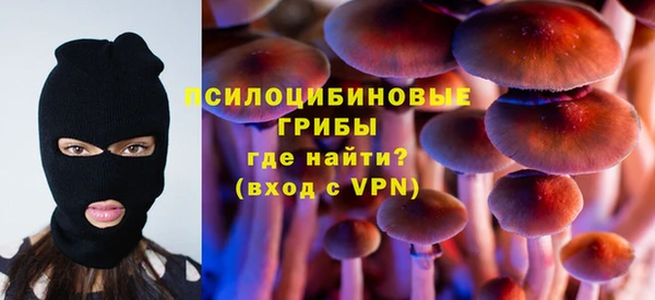 спиды Богородицк