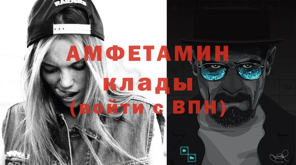 спиды Богородицк