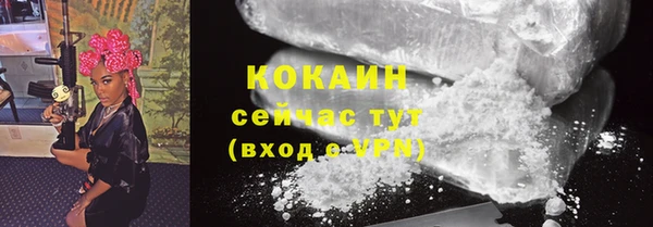 молекула духа Бородино