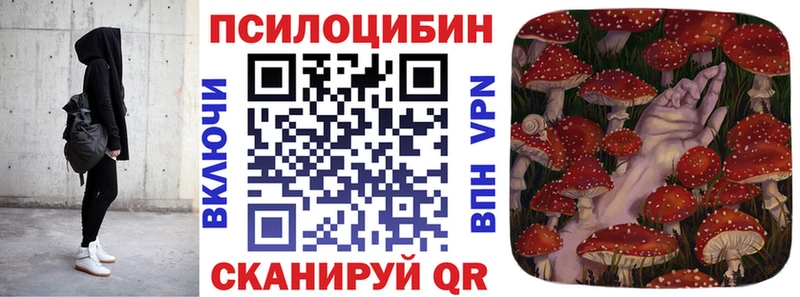 где купить наркоту  Волоколамск  Галлюциногенные грибы Magic Shrooms 